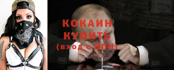гидра Алексин