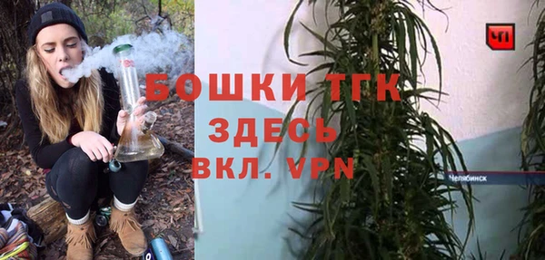 гидра Алексин