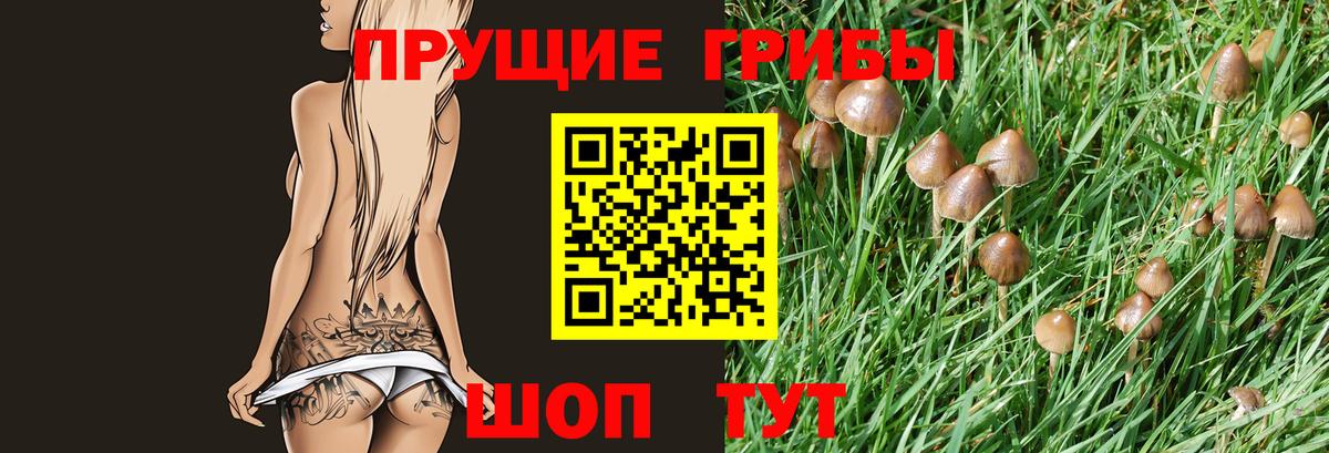 Галлюциногенные грибы Magic Shrooms  Псилоцибиновые грибы Cubensis  Вход с VPN  Люберцы 