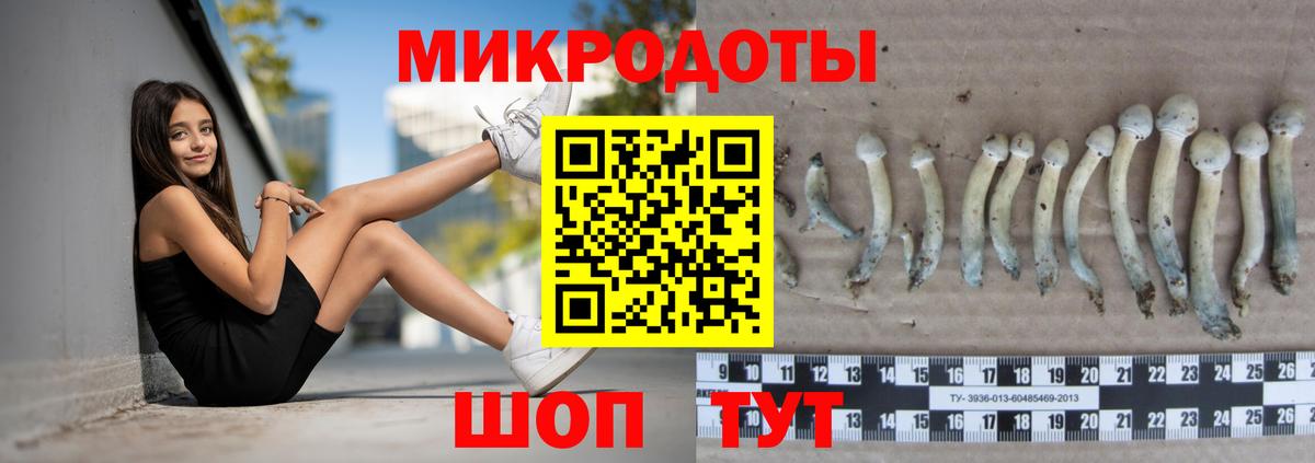 Псилоцибиновые грибы Psilocybine cubensis Люберцы